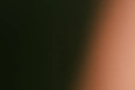 Bet Kaszinó Támogatás